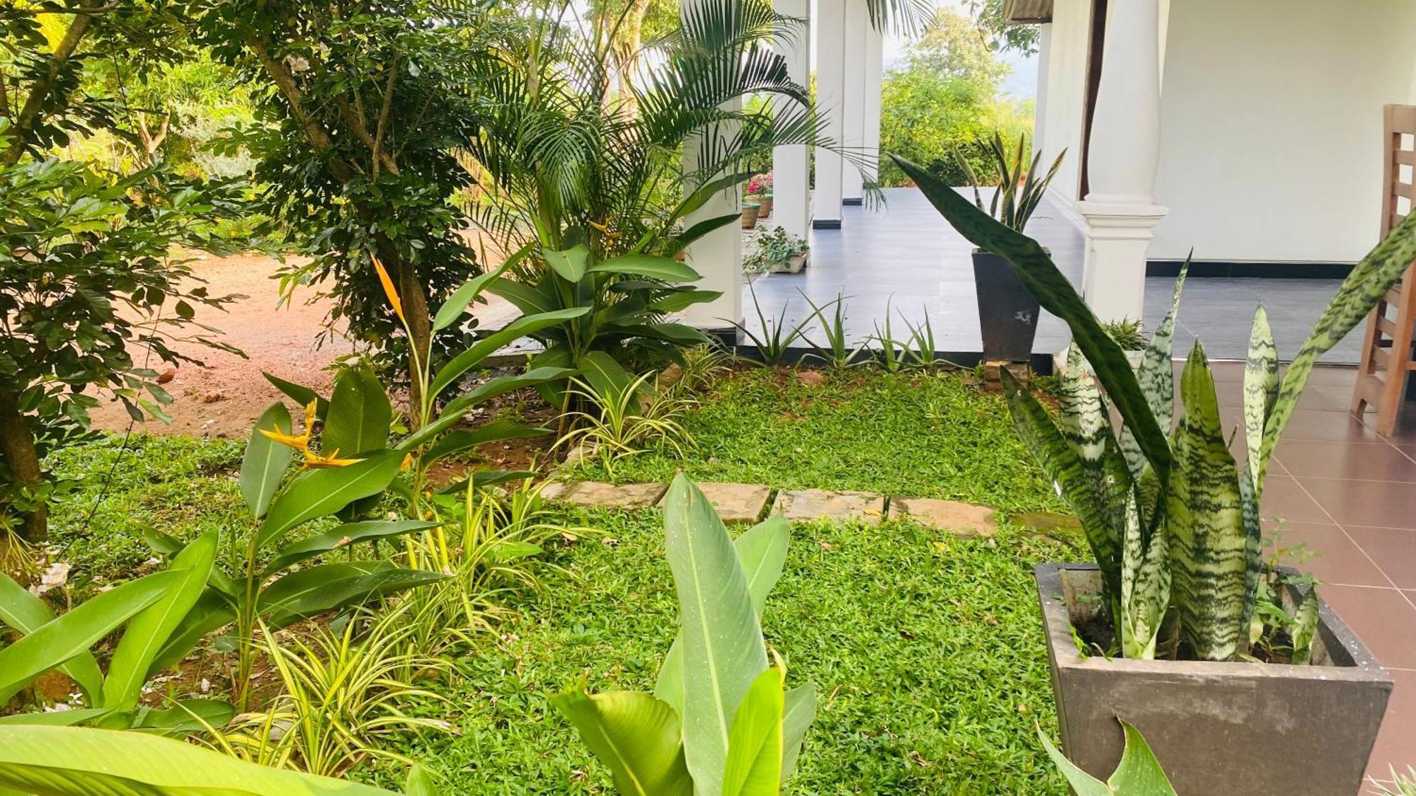 Fairview Dill Homestay Sigiriya Bagian luar foto