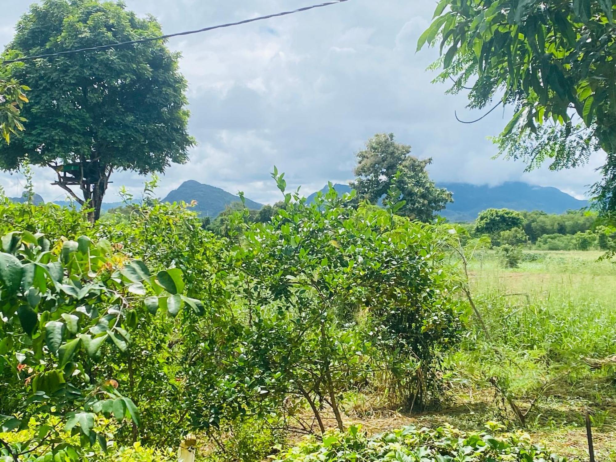 Fairview Dill Homestay Sigiriya Bagian luar foto
