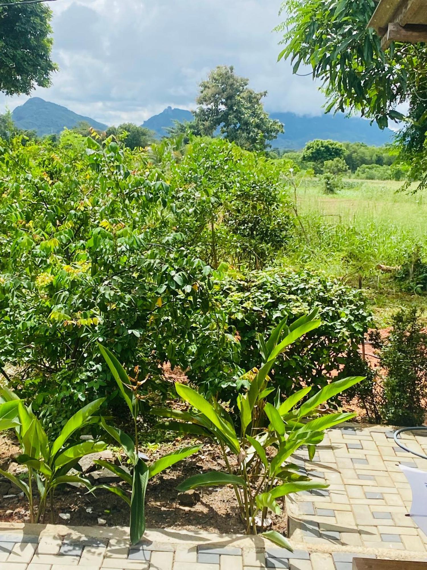 Fairview Dill Homestay Sigiriya Bagian luar foto