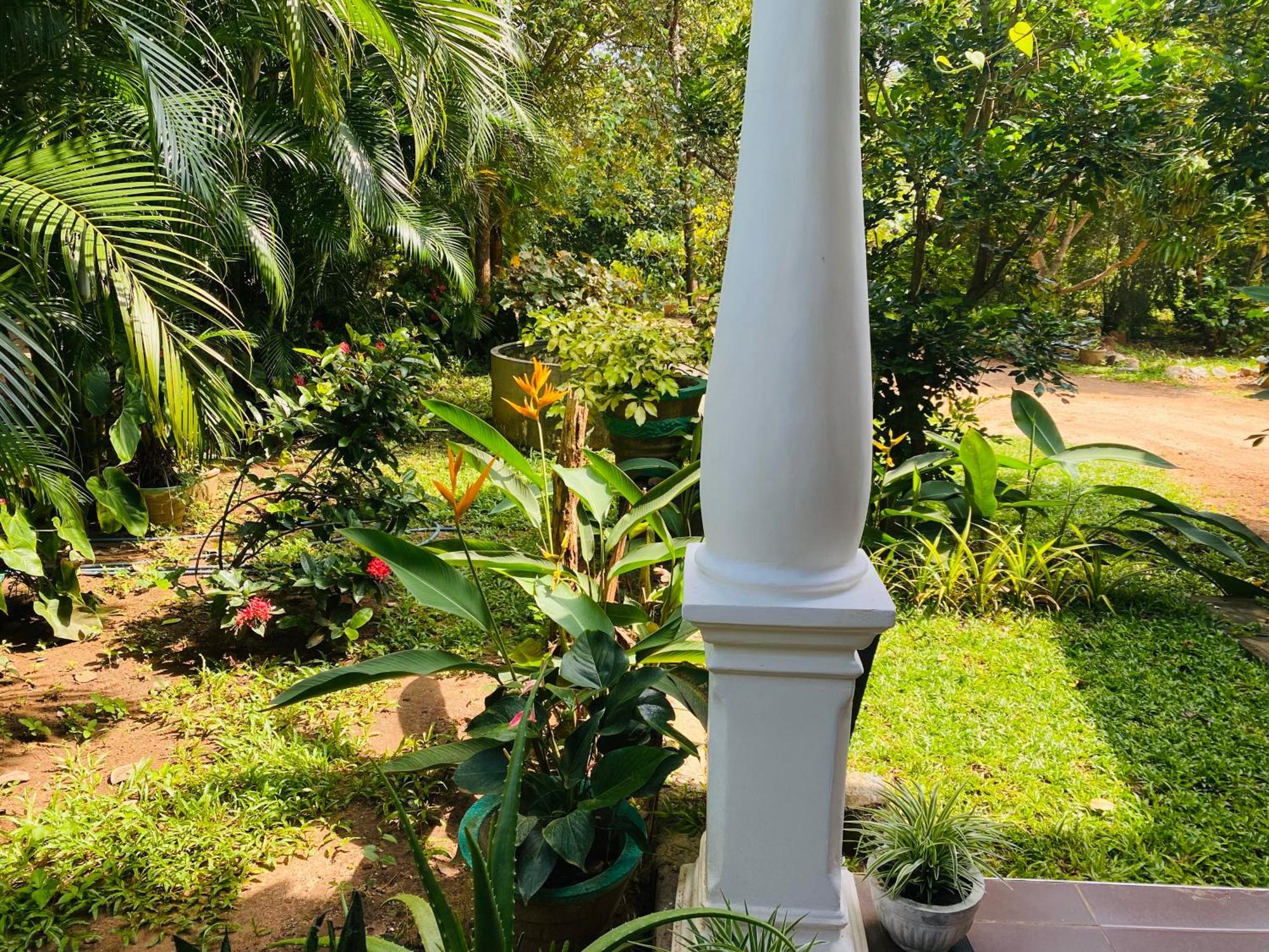 Fairview Dill Homestay Sigiriya Bagian luar foto