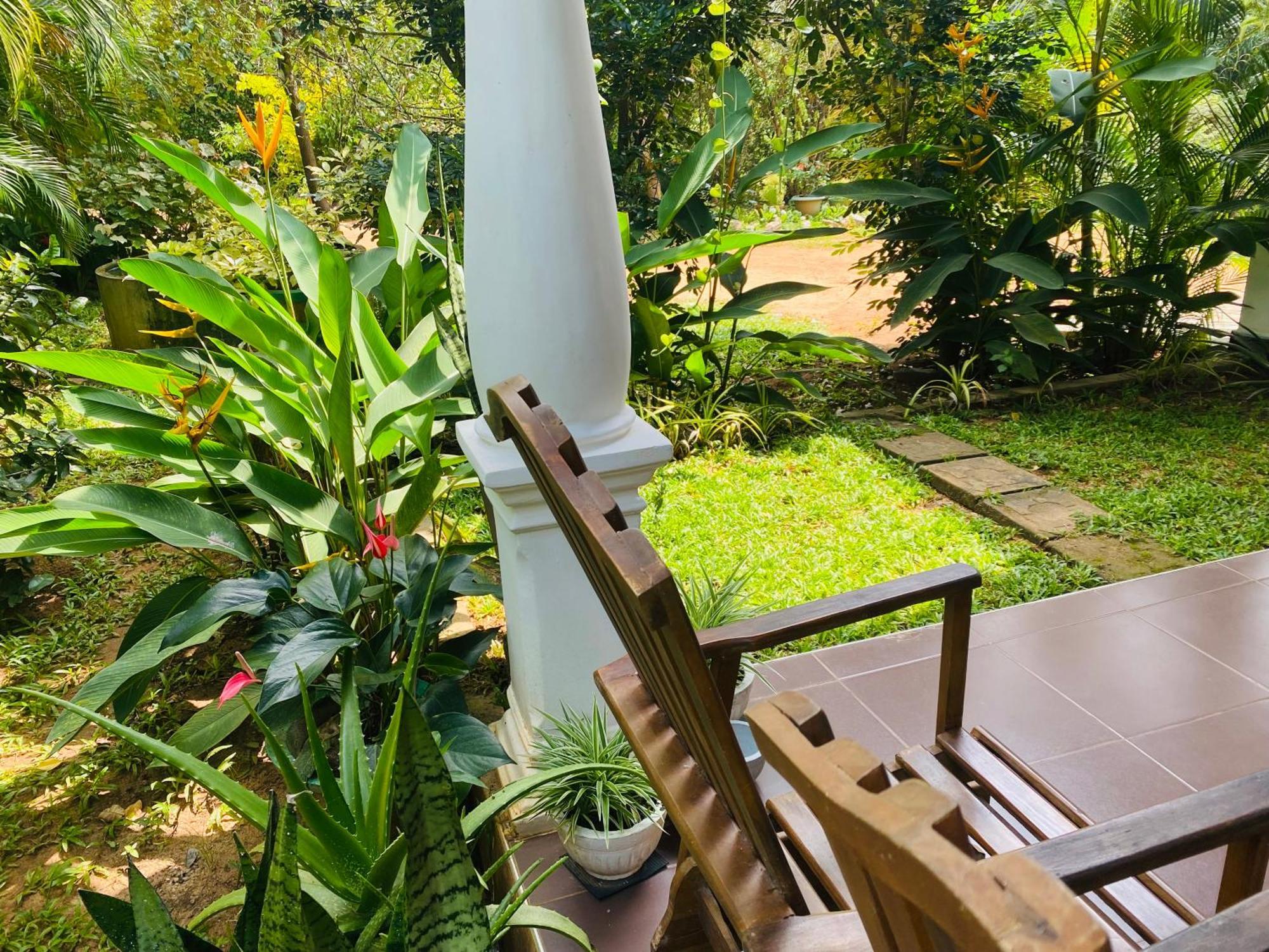 Fairview Dill Homestay Sigiriya Bagian luar foto