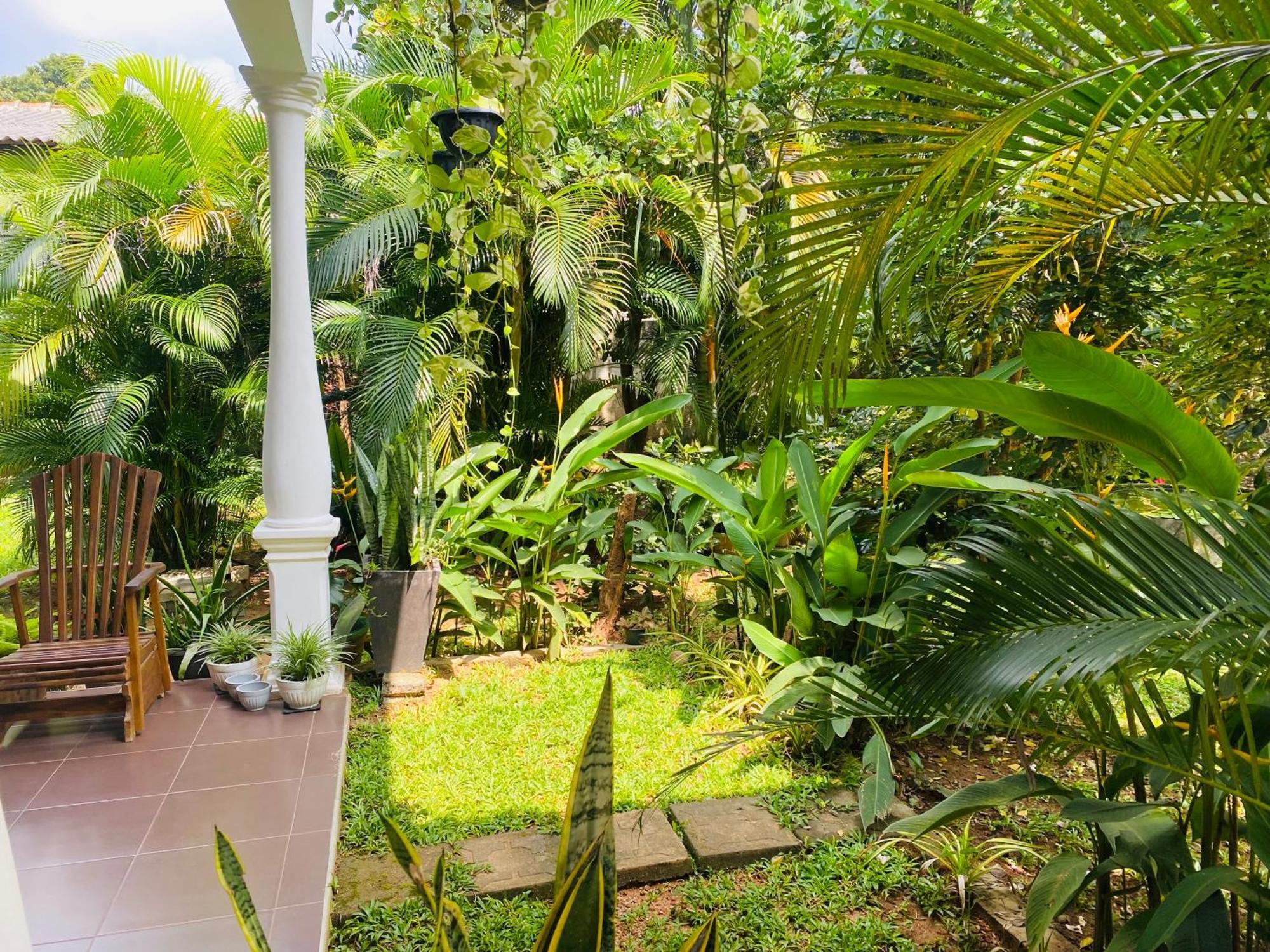 Fairview Dill Homestay Sigiriya Bagian luar foto