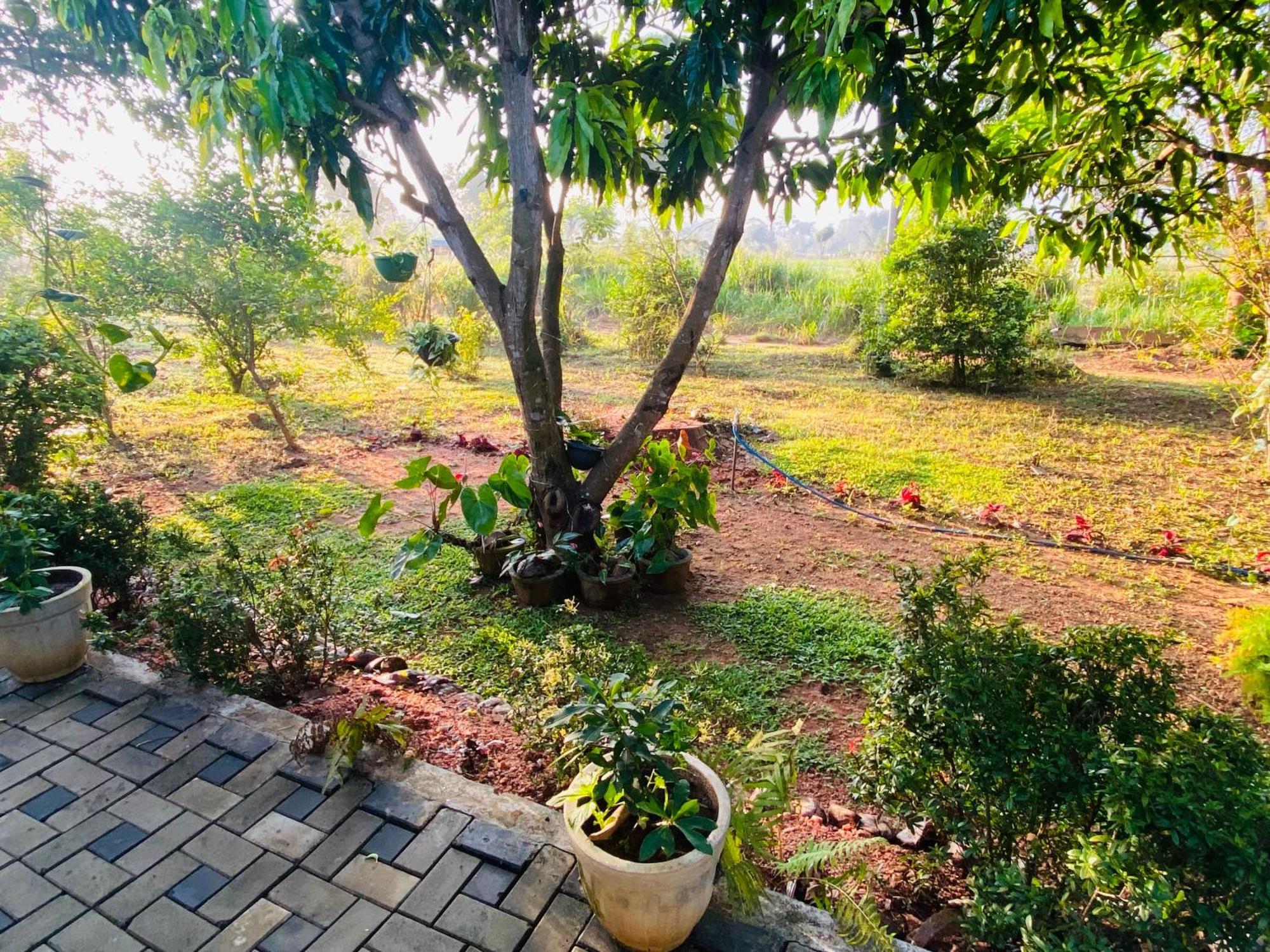 Fairview Dill Homestay Sigiriya Bagian luar foto